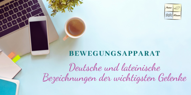 Deutsche und lateinische Bezeichnungen der wichtigsten Gelenke