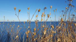 Audio Übungen männliche Stimme