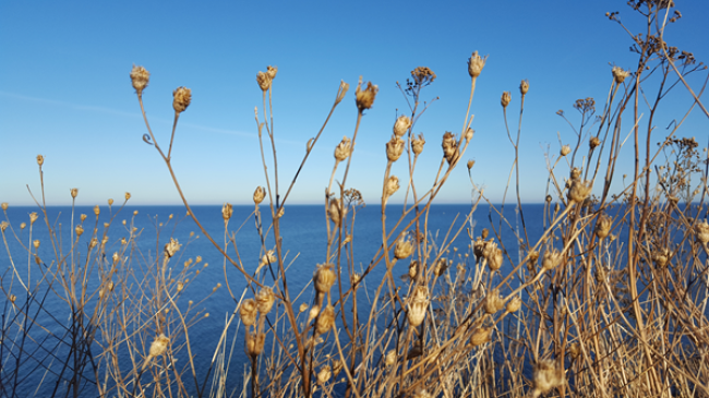 Einführung in das Thema " Autogenes Training"