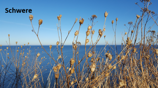 Lektion 1: Schwereformel