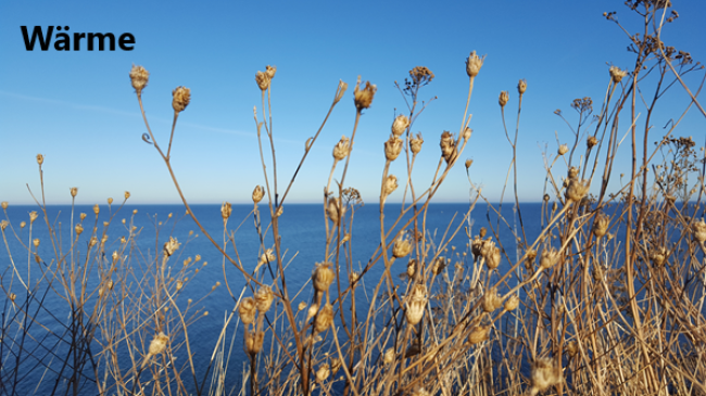 Lektion 2: Wärmeformel