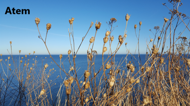 Lektion 3: Atemformel