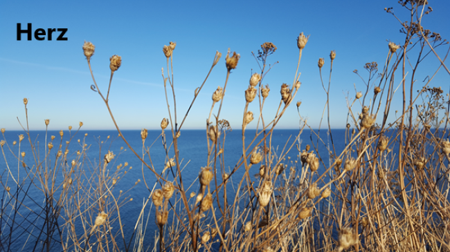 Lektion 4: Herzformel