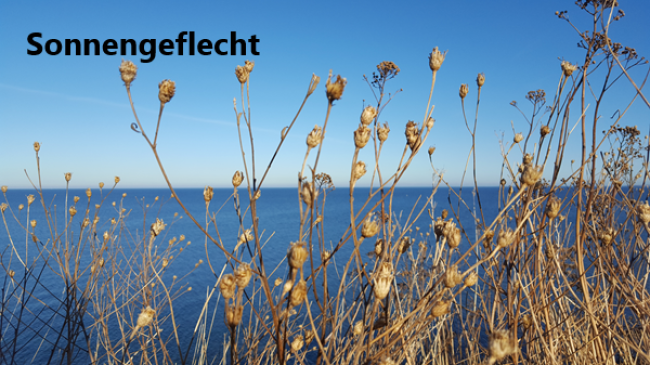 Lektion 5: Sonnengeflechtformel