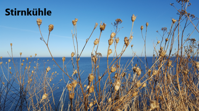 Lektion 6: Stirnkühleformel