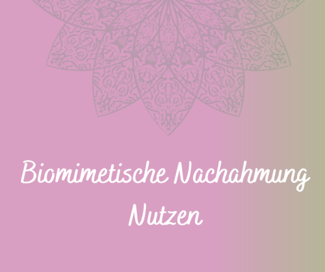 Biomimetische Nachahmung für dich nutzen