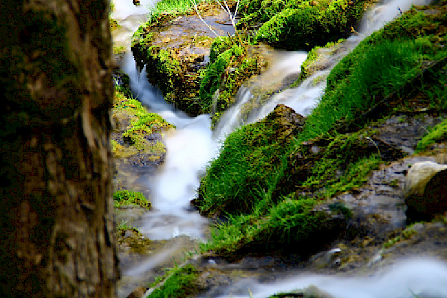 Du hast den Resilienztest bereits gemacht?