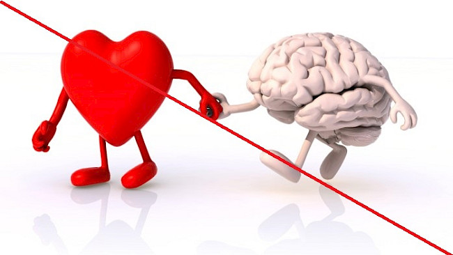 Grundbedürfnisse der Kinder