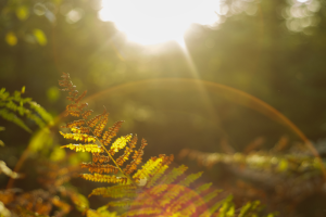 Spirituelle Gesprächsreihe mit Sam Hess