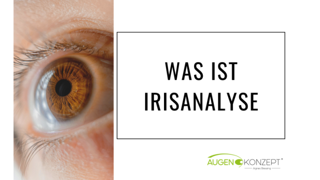 Was ist Irisanalyse?
