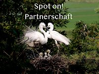 lift up Tag 14+15+16 spot on! Partnerschaft - Kopie