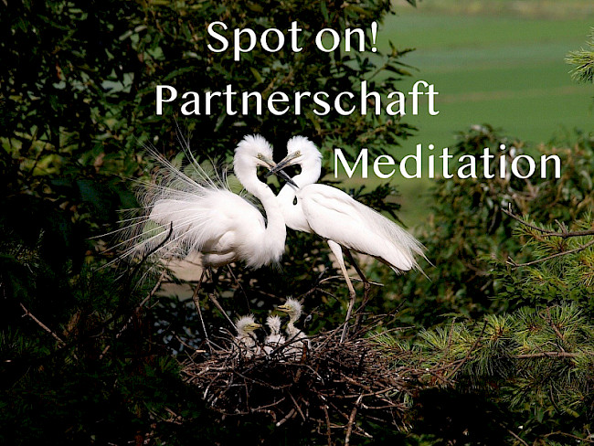 Channelings zum Thema Partnerschaft/Beziehungen mit wunderbaren Erkenntnissen!