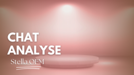 BONUS: Chat Analyse Fallbsp