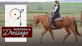 Anhalten, Wendungen & Rückwärts