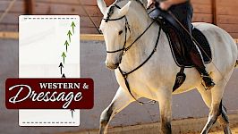 Seitwärts führende Übungen