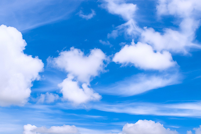 Die kleine Seele spricht mit Gott von Neale Donald Walsch