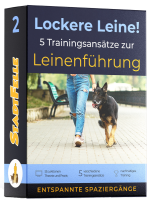 Leinenführung - Die perfekte Leinenführigkeit