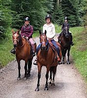 Das Bronzene Gelände-Abzeichen - Live