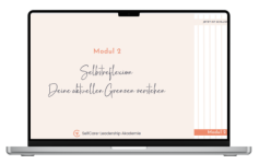 Modul 2: Selbstreflexion Deine aktuellen Grenzen verstehen