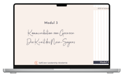 Modul 3: Kommunikation von Grenzen Die Kunst des Nein-Sagens