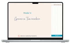 Modul 4: Grenzen im Team verankern