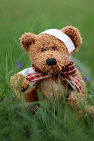 Erste-Hilfe in Bildungs- und Betreuungseinrichtungen V3.1