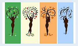 Wechseljahre und Hormon-Balance