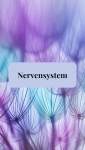 Das Nervensystem
