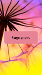 Der Vagusnerv