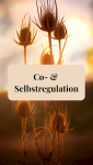 Co- & Selbstregulation