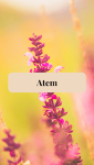 Atem
