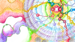 Körperliche Entsprechungen