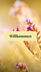 Willkommen