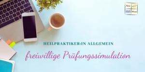 freiwillige Zwischenprüfung-Simulation