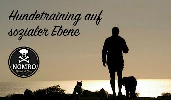 Hundetraining auf sozialer Ebene