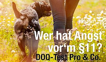 Wer hat Angst vor'm Paragraph 11?