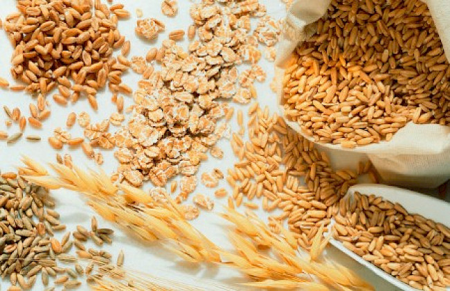 Getreide sind wichtige Ballaststoffe