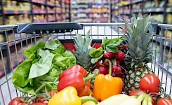 Einkauf, Vorrat und Warenkunde