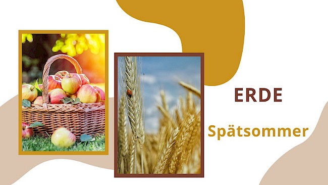 Ernte-Zeit im Spätsommer