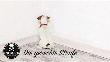 Die gerechte Strafe?!