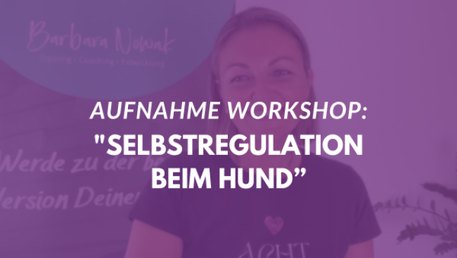 Selbstregulation beim Hund