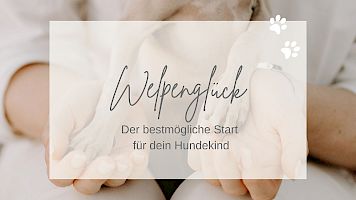 Welpenglück