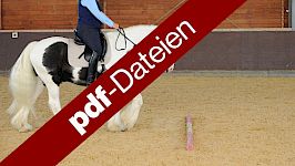 Schritt-Übungen (pdfs)