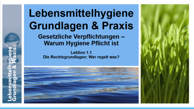 Lektion 1.1: Die Rechtsgrundlage: Wer regelt was?