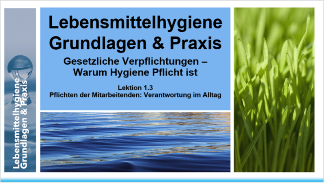 Lektion 1.3: Pflichten des Mitarbeiter - Verantwortung im Alltag