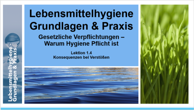 Lektion 1.4: Konsequenzen bei Verstößen