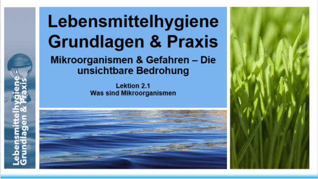 Lektion 2.1: Was sind Mikroorganismen?