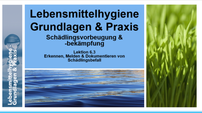 Lektion 6.3: Erkennen, Melden und Dokumentieren von Schädlingsbefall