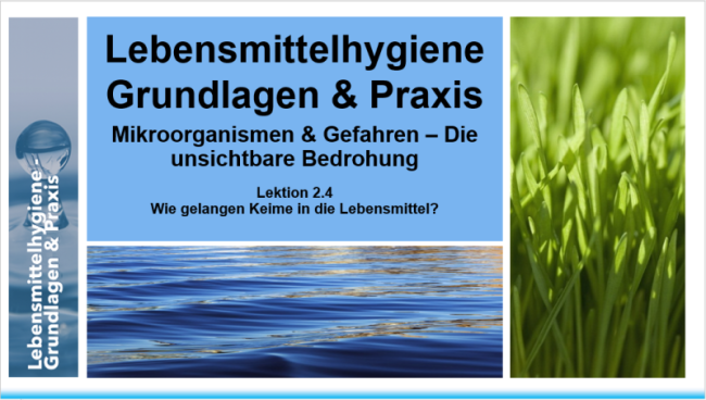 Lektion 2.4: Wie gelangen Keime in die Lebensmittel?