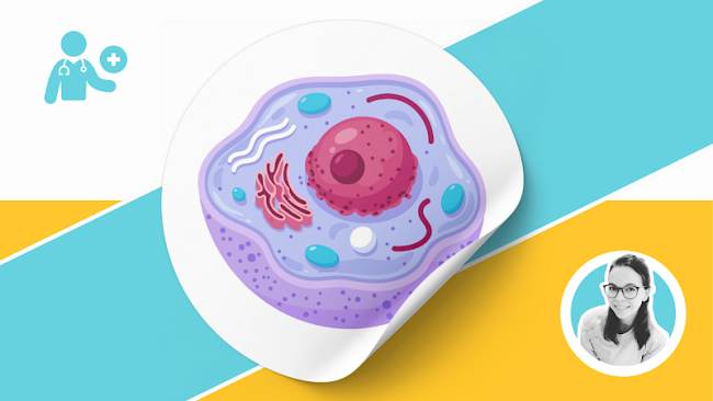 Zytologie (Zellbiologie)